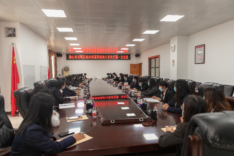 杨和镇妇女第四届执行委员会第一次会议现场.jpg