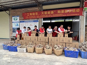图四：志愿者团队帮农户打包生姜.jpg